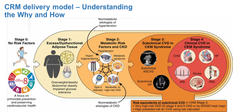 The Hammersmith& Fulham CRM Project