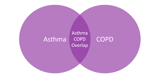 Winter Readiness Webinar- Asthma & COPD Flares   For General Practice Teams, Wed 10th Dec, 7-8:30pm